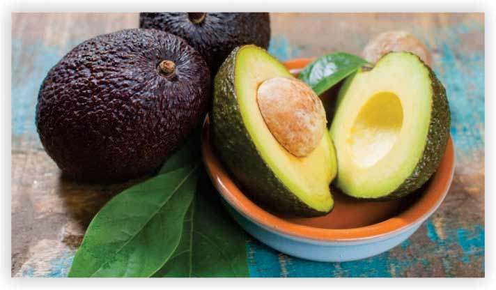 Avocado 