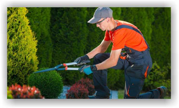 Gardening services