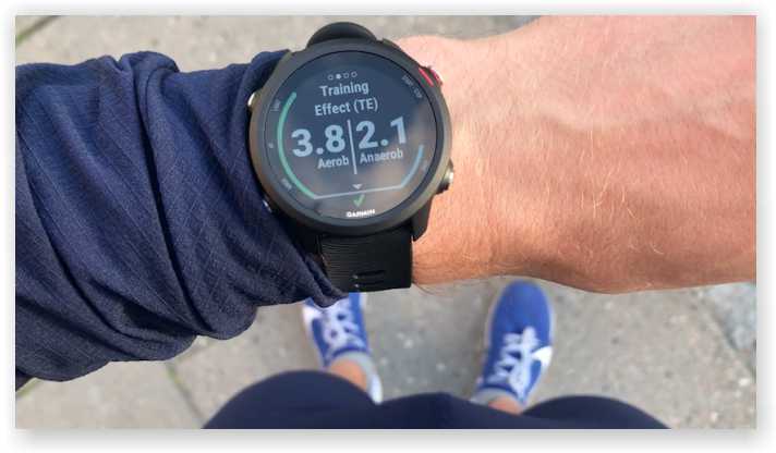 Garmin Forerunner 245