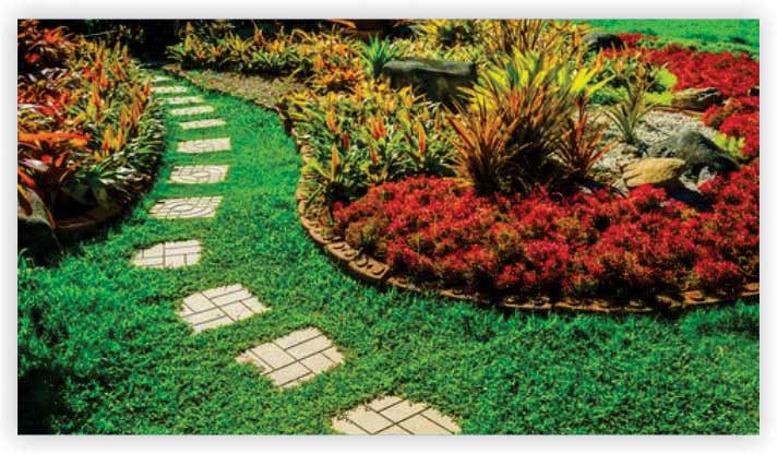 Lawn and gardening service