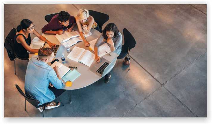 Learn more about the Organization