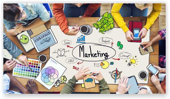 Marketing Professionals