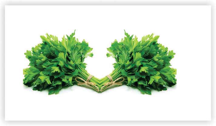 Parsley 