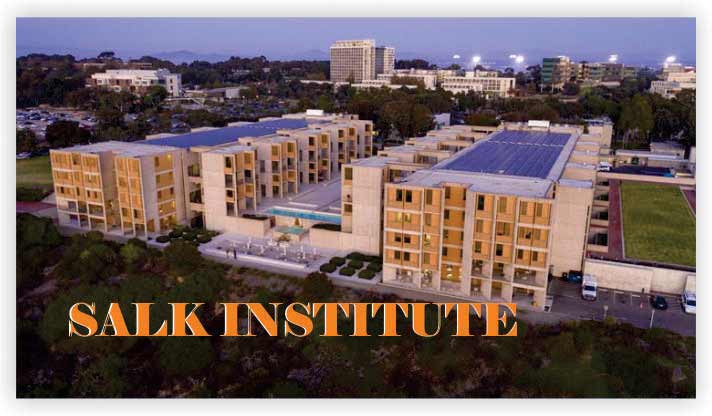  SALK INSTITUTE