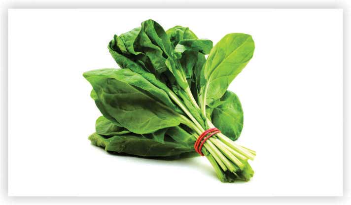Spinach 