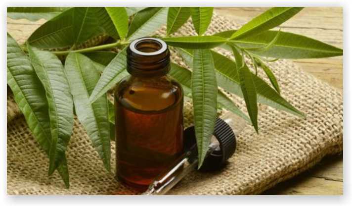 Tea Tree Oil