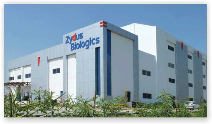 Zydus Cadila healthcare